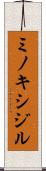 ミノキシジル Scroll