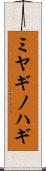 ミヤギノハギ Scroll