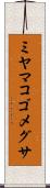 ミヤマコゴメグサ Scroll