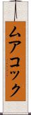 ムアコック Scroll