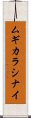 ムギカラシナイ Scroll