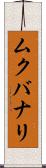ムクバナリ Scroll