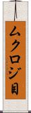 ムクロジ目 Scroll