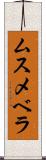 ムスメベラ Scroll