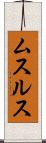 ムスルス Scroll