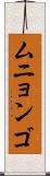 ムニョンゴ Scroll