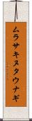 ムラサキヌタウナギ Scroll