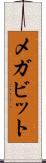 メガビット Scroll