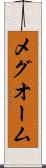 メグオーム Scroll