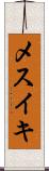 メスイキ Scroll