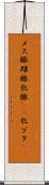 メス豚 Scroll