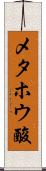 メタホウ酸 Scroll