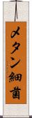 メタン細菌 Scroll