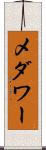 メダワー Scroll