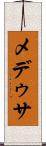 メデゥサ Scroll