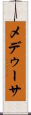 メデゥーサ Scroll