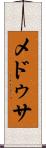 メドゥサ Scroll
