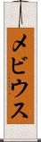 メビウス Scroll