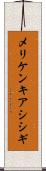 メリケンキアシシギ Scroll