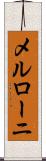 メルローニ Scroll