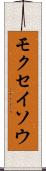 モクセイソウ Scroll