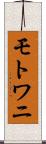 モトワニ Scroll