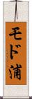 モド浦 Scroll