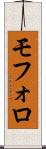 モフォロ Scroll