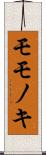 モモノキ Scroll