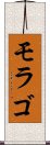 モラゴ Scroll