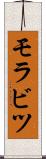 モラビツ Scroll