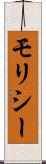 モリシー Scroll