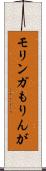 モリンガ Scroll