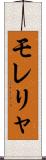 モレリャ Scroll