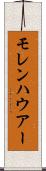 モレンハウアー Scroll