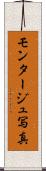 モンタージュ写真 Scroll