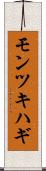 モンツキハギ Scroll