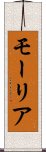モーリア Scroll