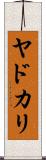 ヤドカリ Scroll