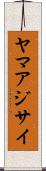 ヤマアジサイ Scroll