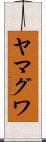 ヤマグワ Scroll