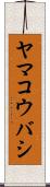 ヤマコウバシ Scroll