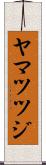 ヤマツツジ Scroll