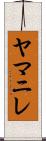 ヤマニレ Scroll
