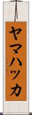 ヤマハッカ Scroll
