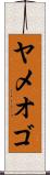 ヤメオゴ Scroll
