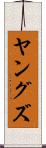 ヤングズ Scroll