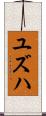 Yuzuha Scroll
