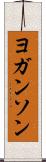 ヨガンソン Scroll