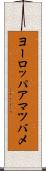 ヨーロッパアマツバメ Scroll